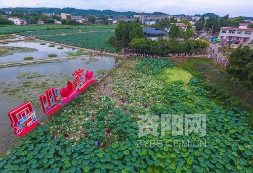 雁江区首届荷花节在丹山镇正式拉开帷幕