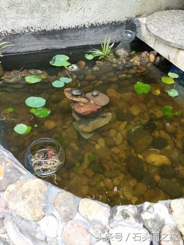 水泥鱼池制作步骤_小制作大全