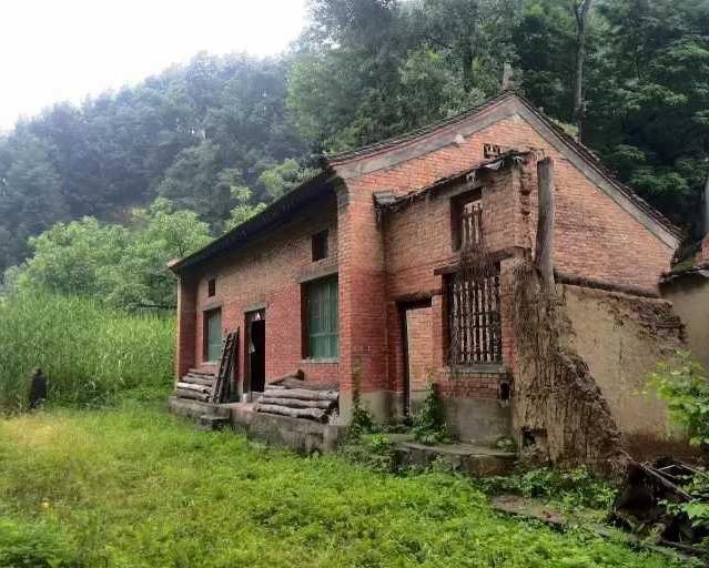 她在终南山用砖瓦房辟出了栖息之所,过上了隐居的生活
