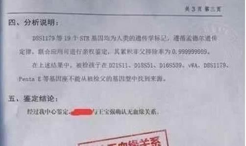 王宝强儿子的dna结果出来了,宋喆狱中求情,网友:活该