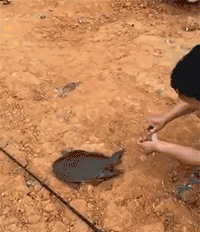 这真是套路界的一股泥石流!就问你惊不惊喜?