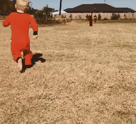 四肢爬行,追着宝宝跑