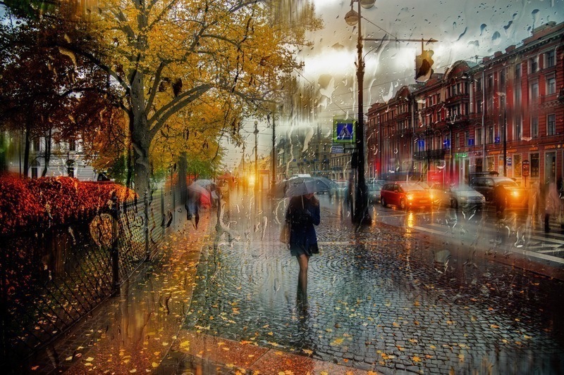 动感朦胧的美感 雨中如画的圣彼得堡