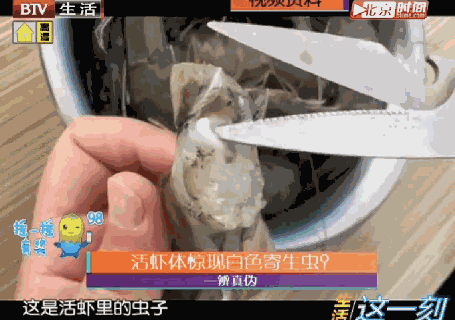 大妈再拍视频,大虾体内竟有巨大寄生虫?专家:很有营养