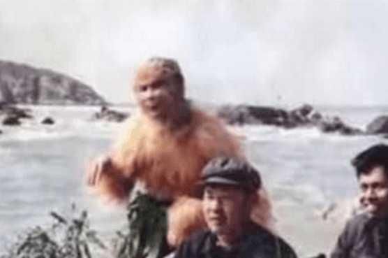 原来86版《西游记》孙悟空有这么多替身?网友:反正我没看出来