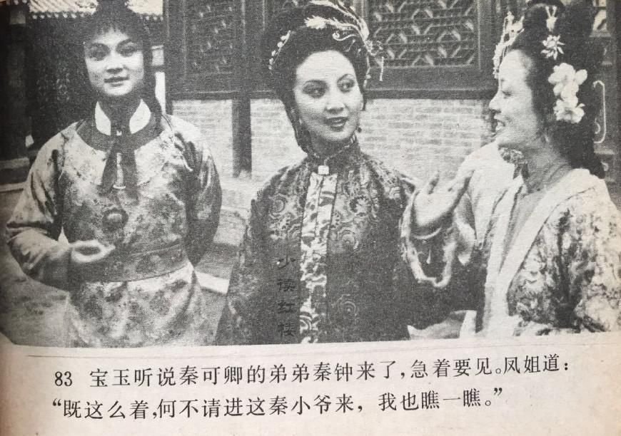87版红楼删掉的宝玉会秦钟画面,秦钟果然比宝玉长得好