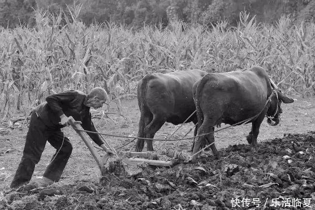 30年前甘肃农村照片,这些场面已经看不到了!(非农村人