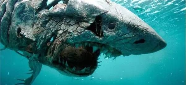 《加勒比海盗5》僵尸鲨鱼很牛逼?40年前就有人拍过了!