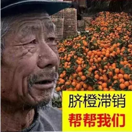 果农滞销请帮帮我们,网友:老头涉及多个产业,干啥啥不