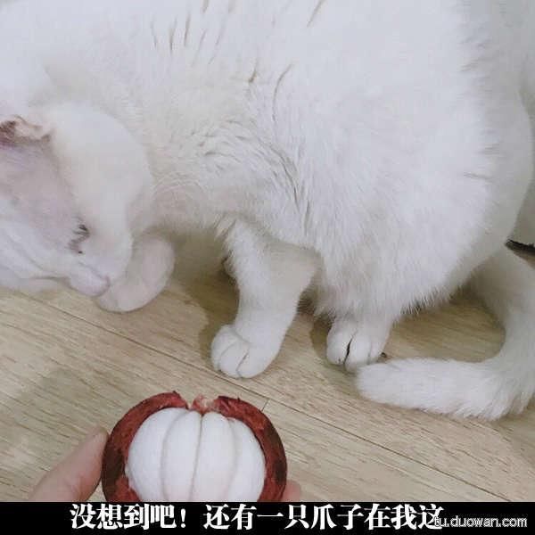 全球搞笑图:这哥们绝对看上老师的美色了,骚聊比跟老婆聊天还积极