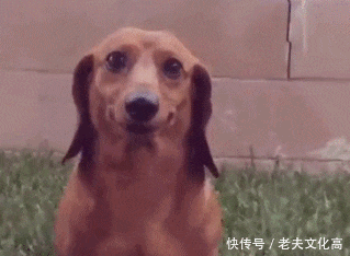 一个有特长的美女 搞笑gif: 和老婆逛街,看她对着一件衣服爱不释手