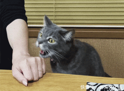 搞笑gif:我的天啊,这么好看的姑娘是怎么长出来的!