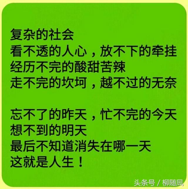 晚上睡不着,打开看看就明白,人这一辈子,到底图个啥呢