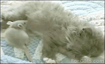 搞笑gif:估计这车要过个几年才能开出来了