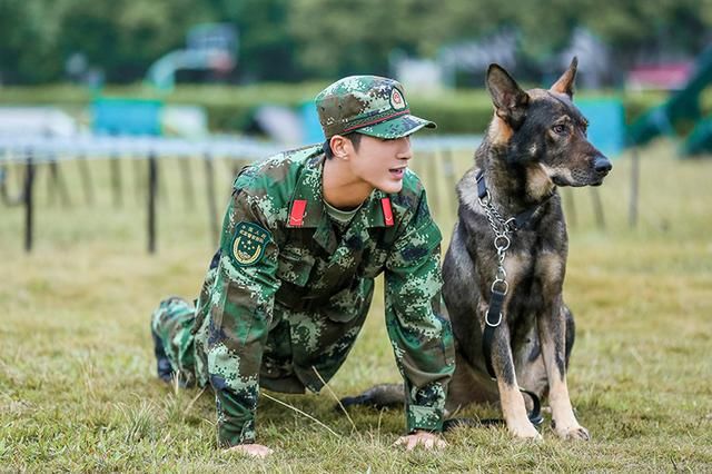 奇兵神犬收官,姜潮发文感慨,何捷和张馨予夫妇的评论亮了