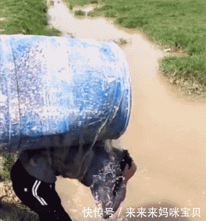 搞笑gif:妈妈,我是不是你亲生的呀