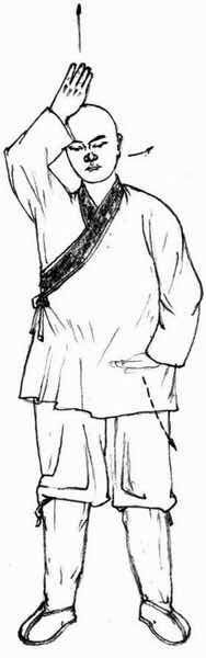 每日一招八段锦!传自上古炼气士的功法!由少林传出,务必珍藏