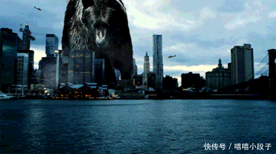 爆笑gif:初生牛犊不怕虎,因为他的后台很硬