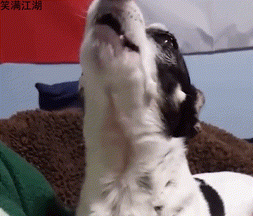 开心段子:车站的西餐厅里,一对情侣在就餐