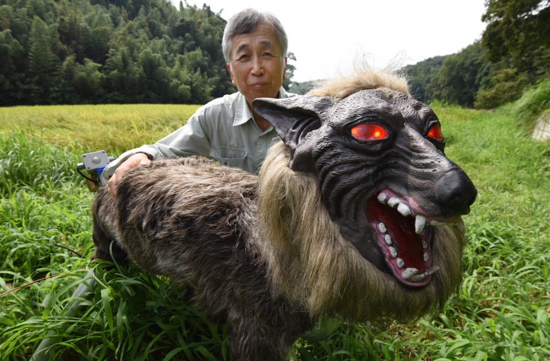 日本"超极怪兽狼"机器人稻田边守护庄稼