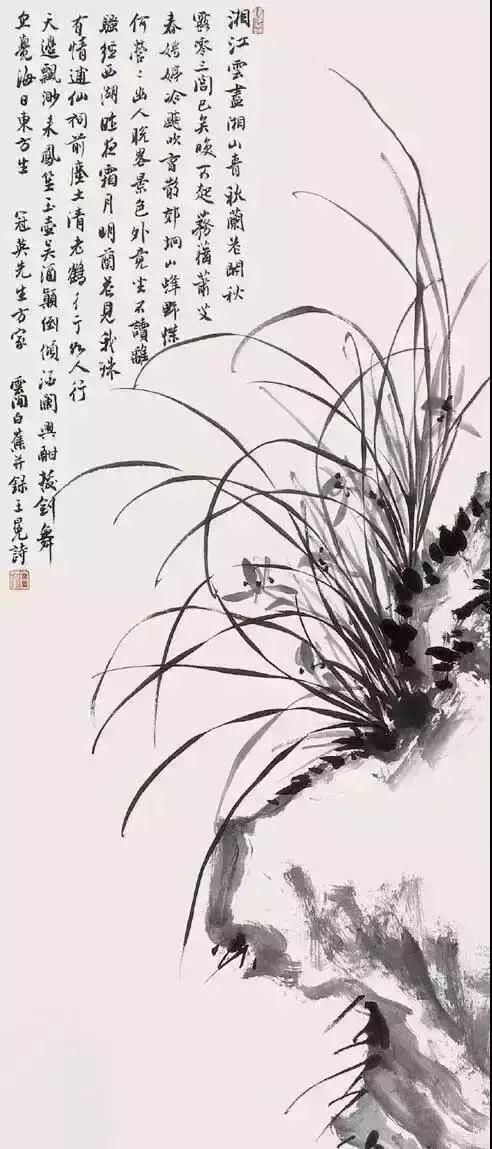 八大名家画兰,各有千秋