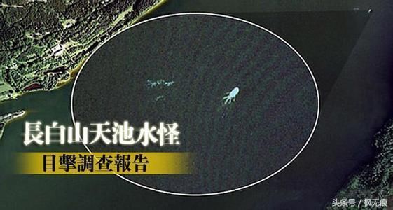 长白山天池里,真的有水怪吗?真相扑朔迷离耐不住推敲!