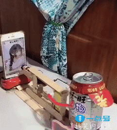搞笑gif 老鼠:哥你玩够没.玩够来个痛快的.
