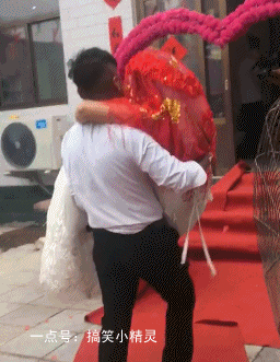 爆笑gif二蛋段子:经鉴定,我家这狗子应该是纯纯的二哈