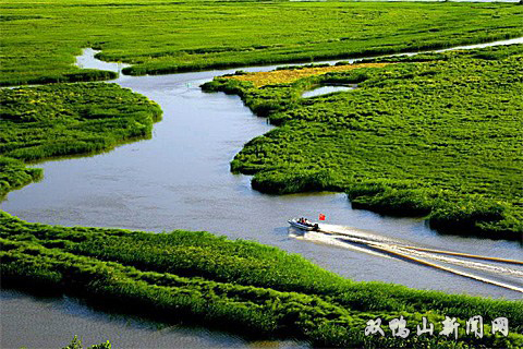 黑土湿地美 靓丽双鸭山