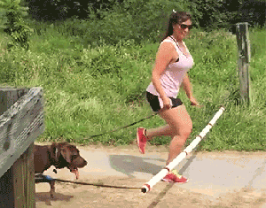 幽默逗图:大叔你也太坏了吧,妹子都成这样子了,还拍照