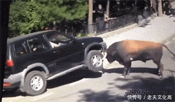 搞笑gif: 真正的电脑高手, 都是这样散热的!