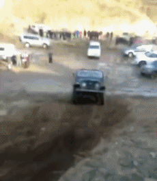 搞笑gif趣图:一条脑血栓的鱼