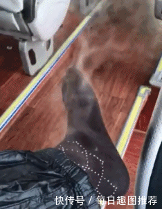 搞笑gif:桌子:小姐姐请挪开我承受不了了