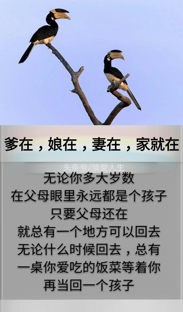 爹在,娘在,妻在,家就在.