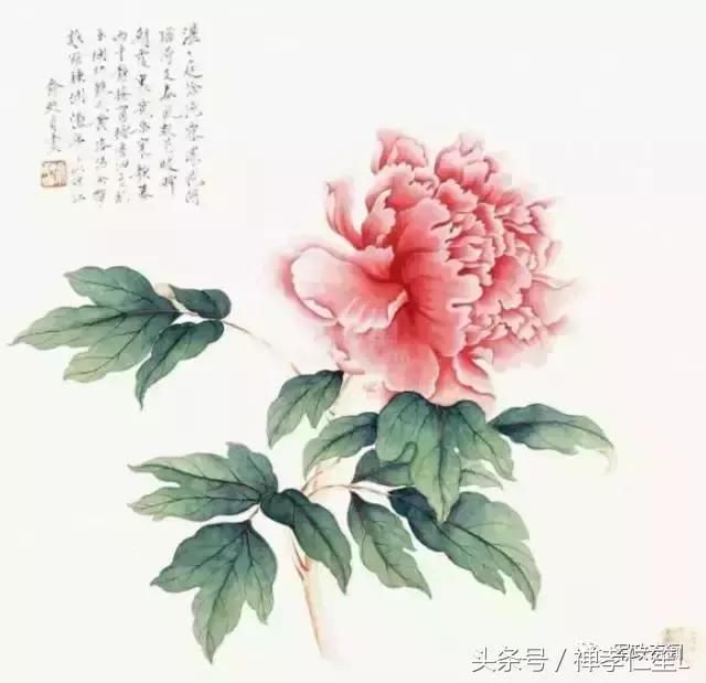 女人宣言: 天长地久太老套, 有钱男人不可靠.