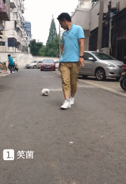 搞笑gif动图:怎么喝不到?是姿势不对吗?-北京时间