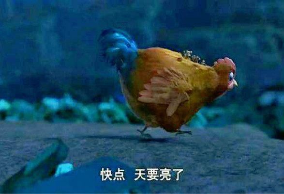 尤其是这只母鸡的眼神与表现,真的是非常搞笑,可以说是本部电影中一个