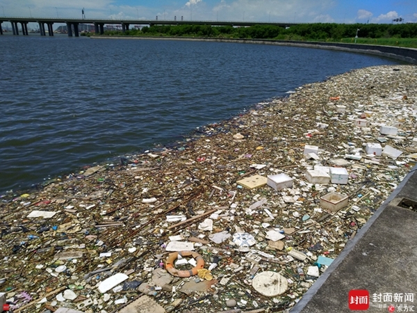 环境堪忧!深圳前海湾海面漂浮大片垃圾