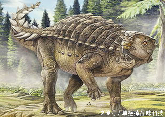 这种恐龙叫kunbarrasaurus,一种长着"盔甲"的体型庞大的生物.