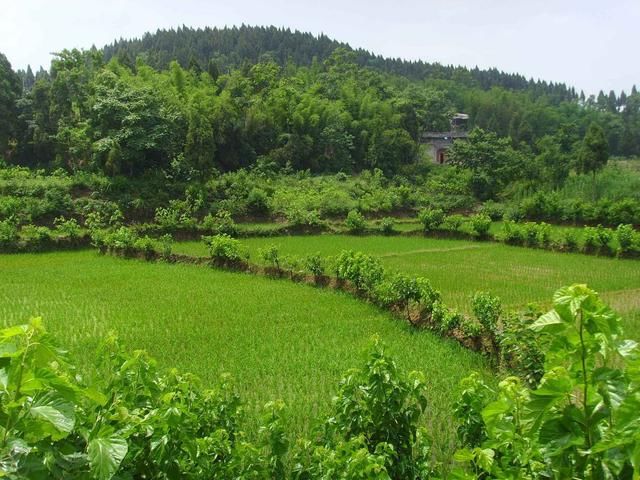 四川中部,山村风景