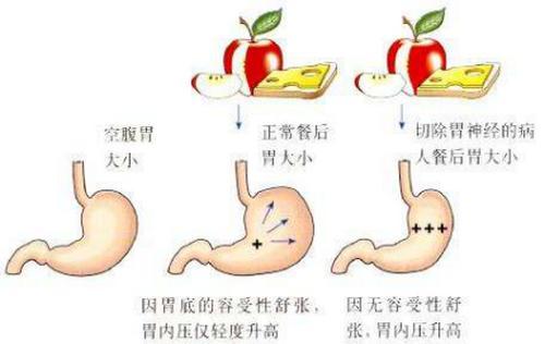 10分钟吃40个汉堡!揭秘大胃王背后常人难以知道的辛酸