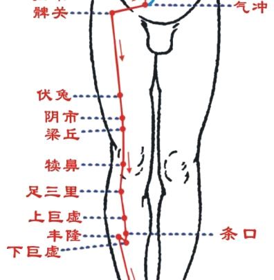 经络篇|十二经脉之足阳明胃经