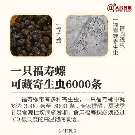 一只福寿螺体内可能会藏有多达6000条的寄生虫,其中最著名的一种就是"