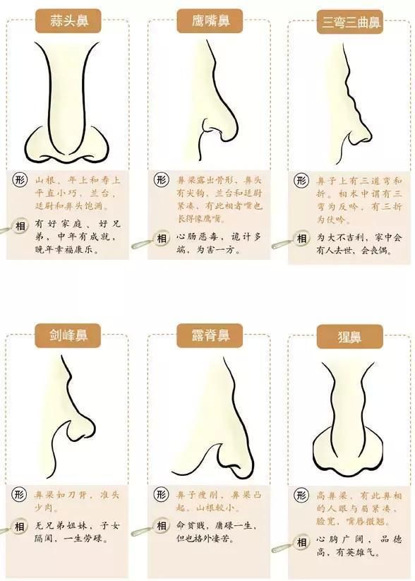 鼻如刀削,妻财两抛"什么