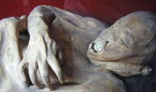 齐齐哈尔干尸复活,300年女干尸表情狰狞超恐怖