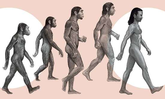 揭秘人类进化历程:地铁上可能会遇到一张"智人脸"