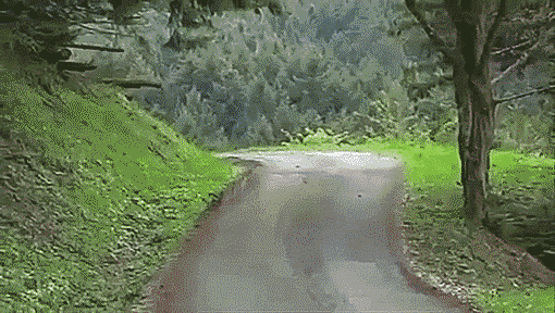 8.秋名山车神来了