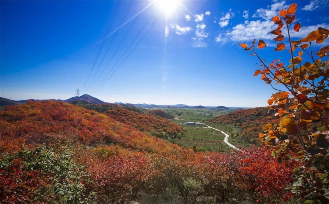 门票:免费 地址:北京市通州区宋梁路南段 交通:八通线(土桥站)换乘