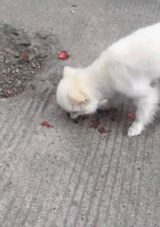 搞笑gif:妹子躺在那里,考虑过模型的感受吗?