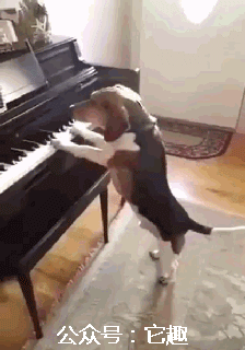 搞笑gif:真佩服这企业把人培养成神经病,员工还感恩戴德!